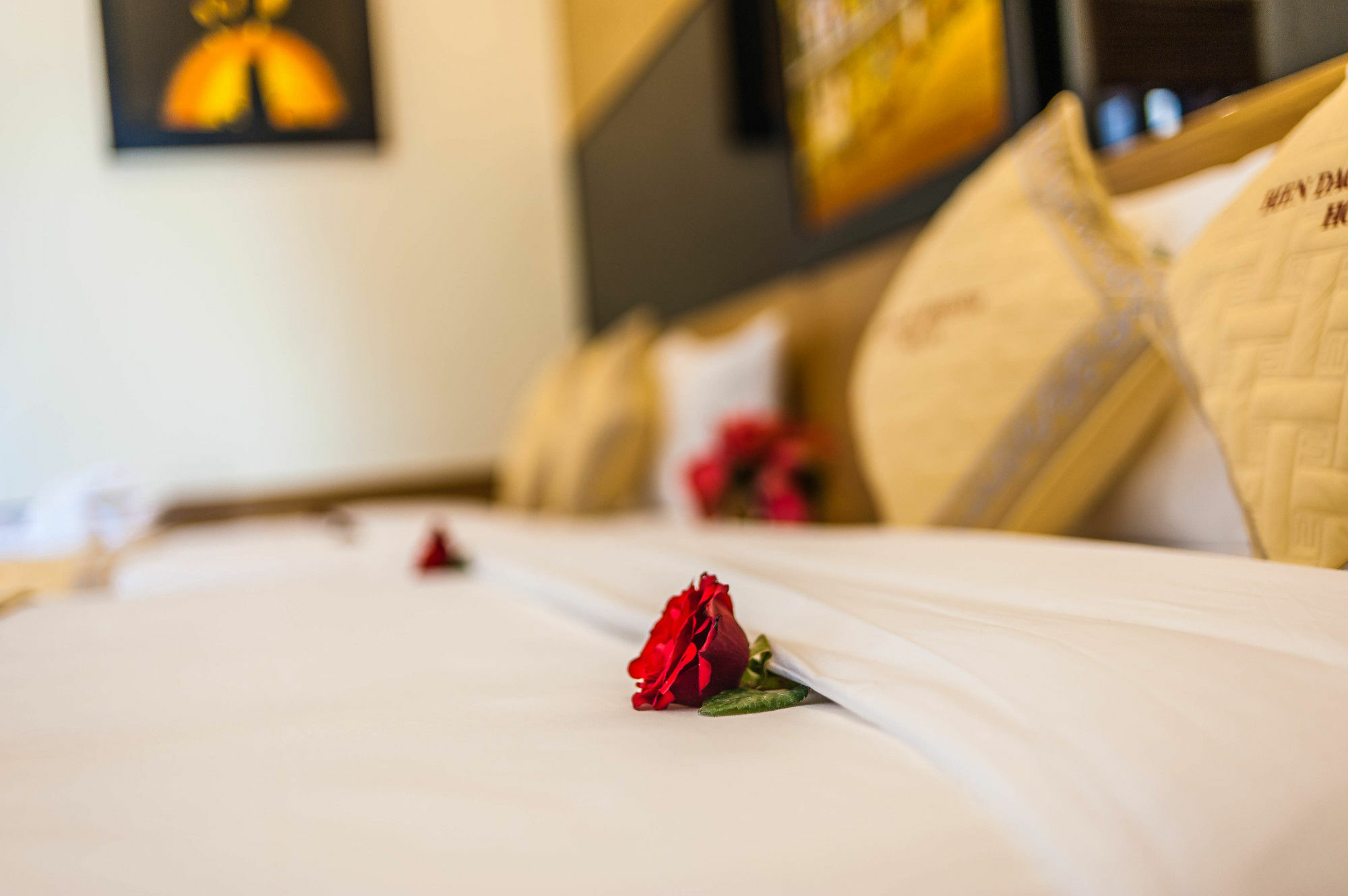 Bien Dao Homestay Hoi An Eksteriør bilde